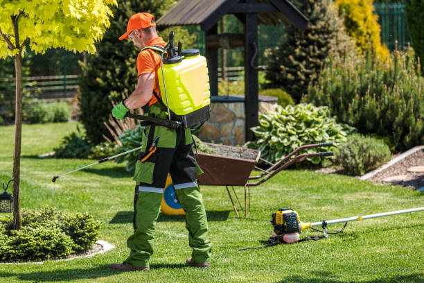 Best Lawn Pest Control  in Spindale, NC